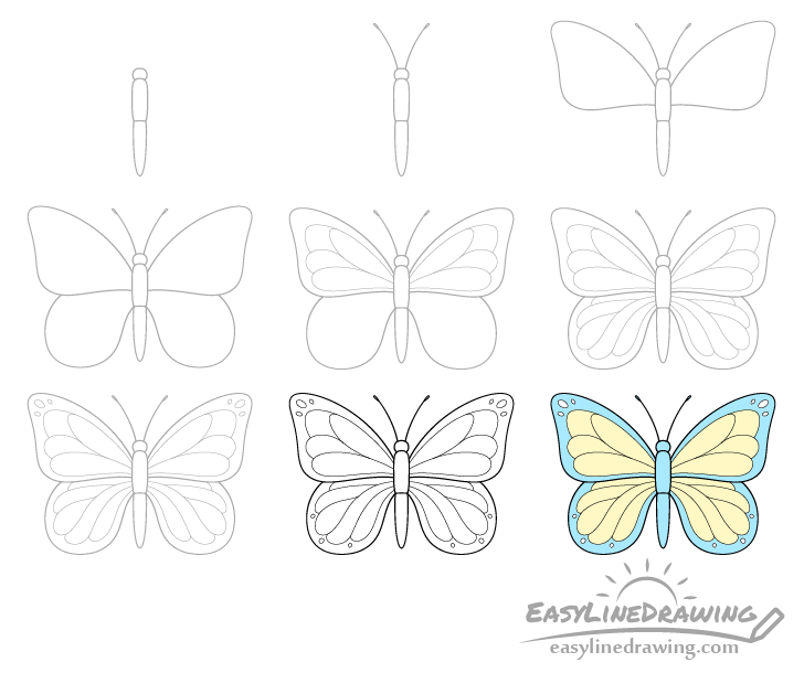 Butterfly drawing step by step