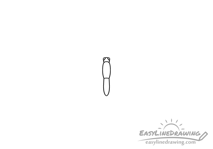 butterfly head drawing butterfly head drawing