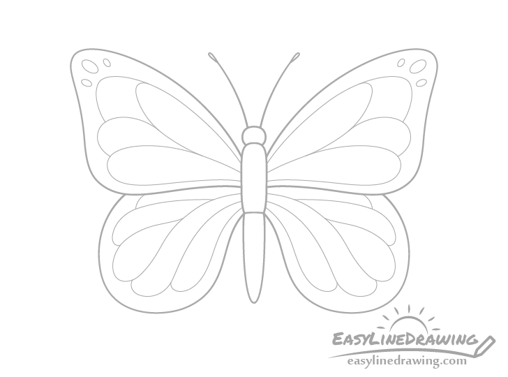 Butterfly top wings outer pattern drawing