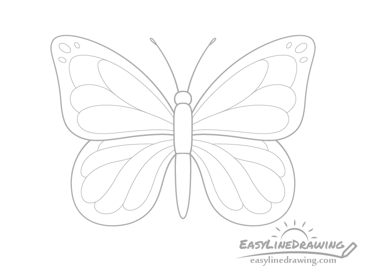 How to Draw a Butterfly Step by Step