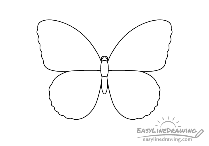 butterfly wings drawing butterfly wings drawing