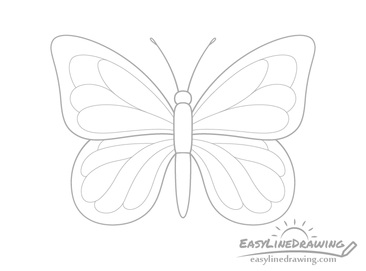 Butterfly wings pattern drawing