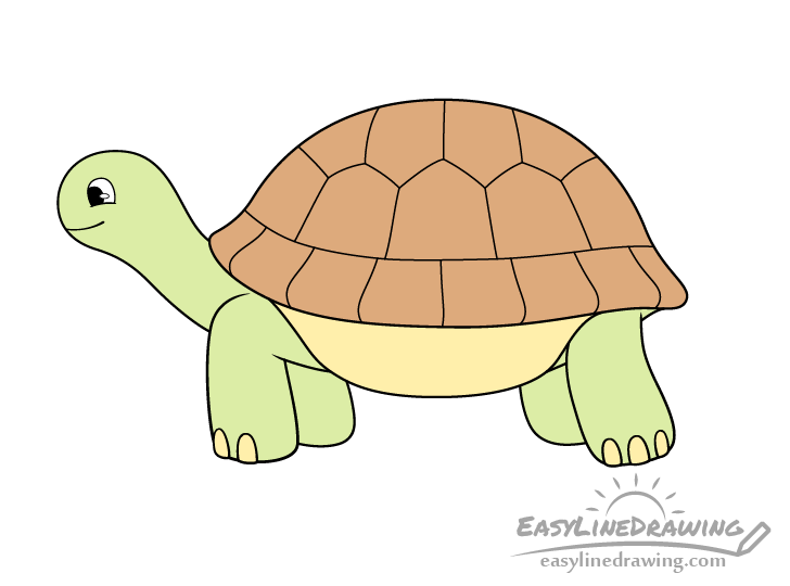 How to Draw a Tortoise Step by Step - EasyLineDrawing