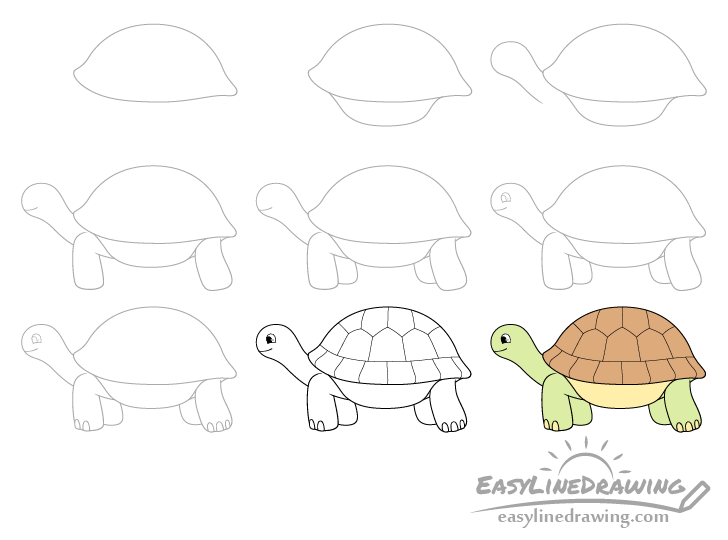 Tortoise drawing step by step