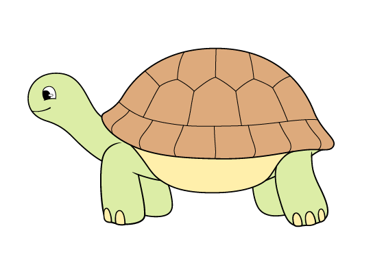 Tortoise drawing tutorial