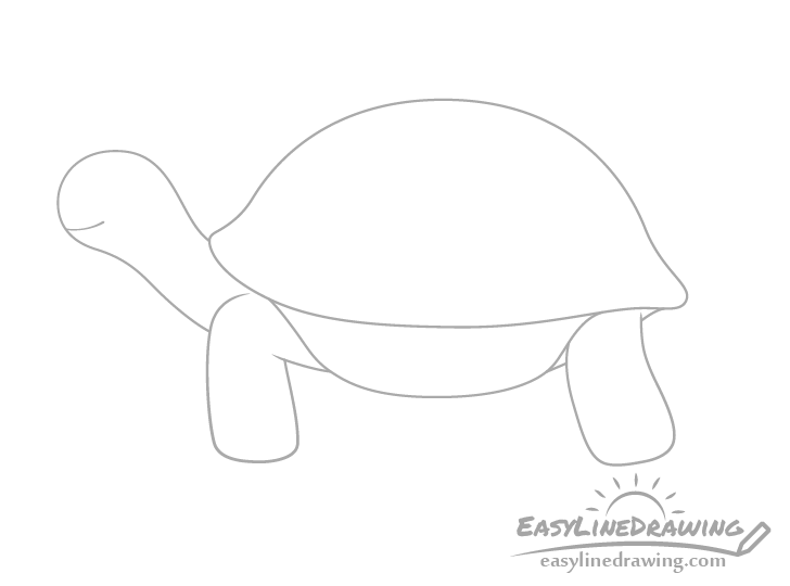 Tortoise legs drawing