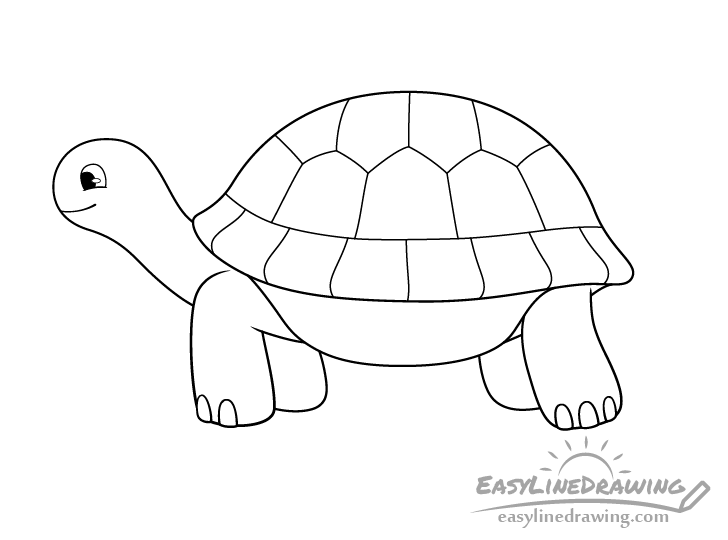 Tortoise line drawing