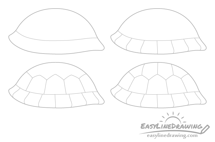Tortoise shell details drawing step by step