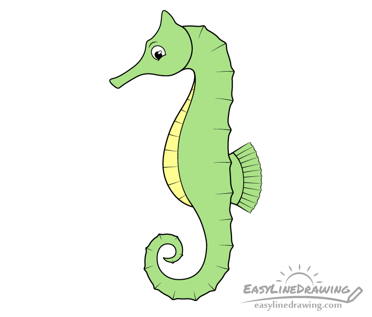 How to Draw a Seahorse Step by Step - EasyLineDrawing
