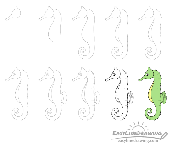 Seahorse drawing step by step