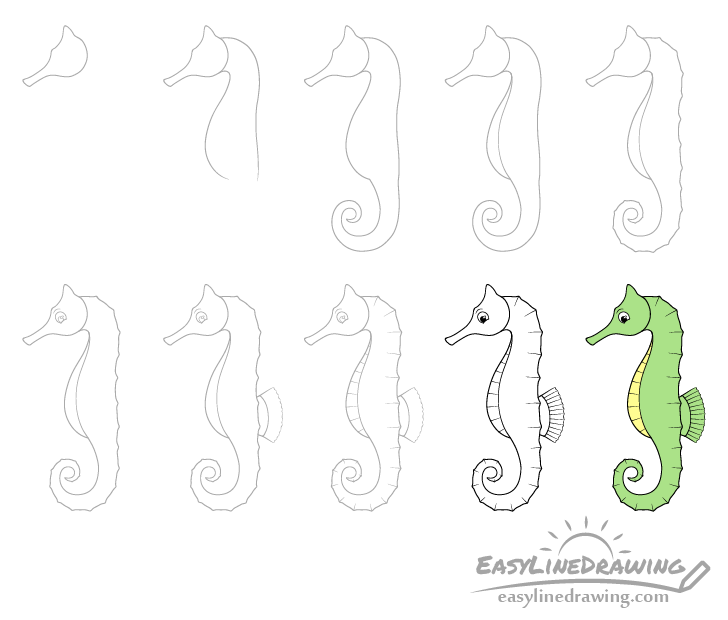 how to draw a seahorse step by step