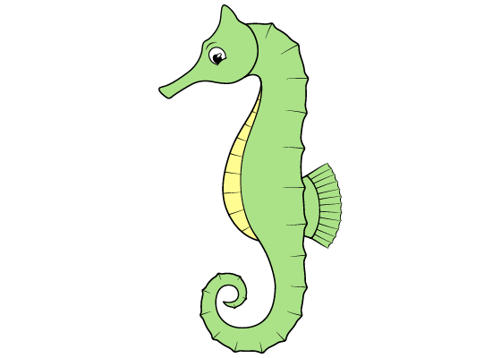 Seahorse drawing tutorial