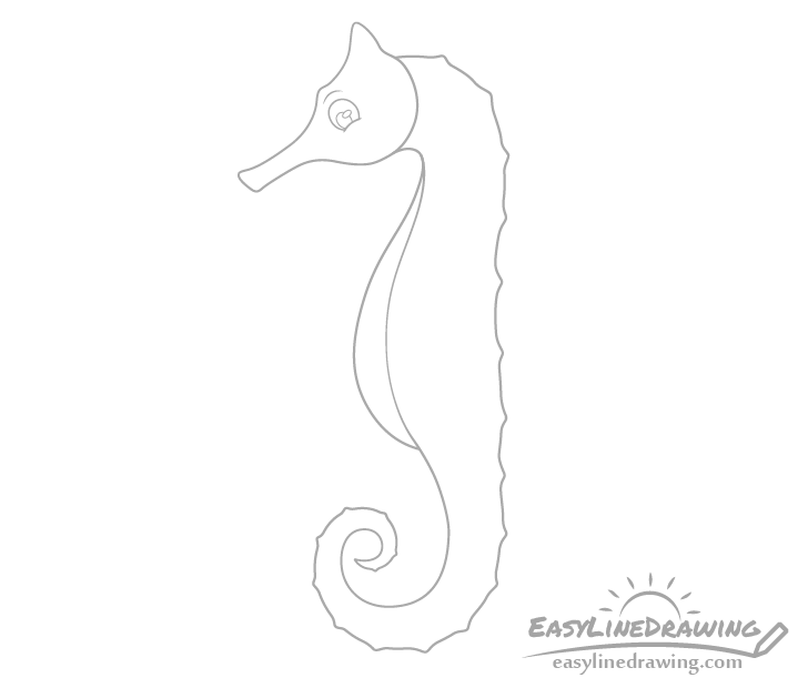 Seahorse eye drawing