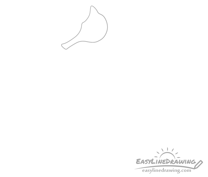 Seahorse head drawing