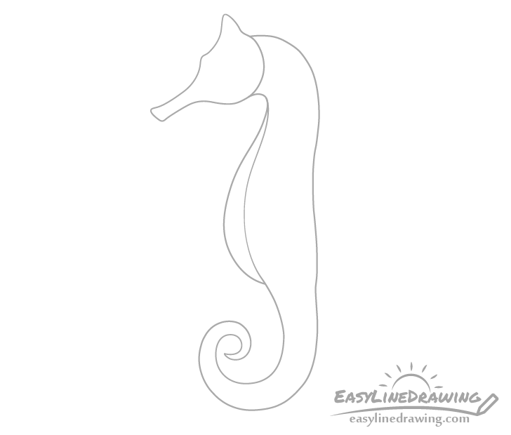Seahorse stomach outline drawing