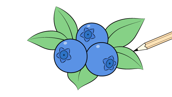 How to draw blueberries video tutorial