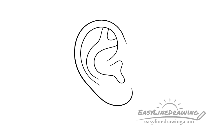 Ear curve drawing