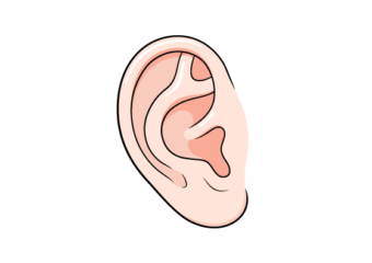 Ear drawing tutorial