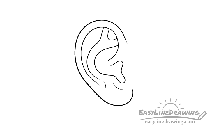 Ear line drawing