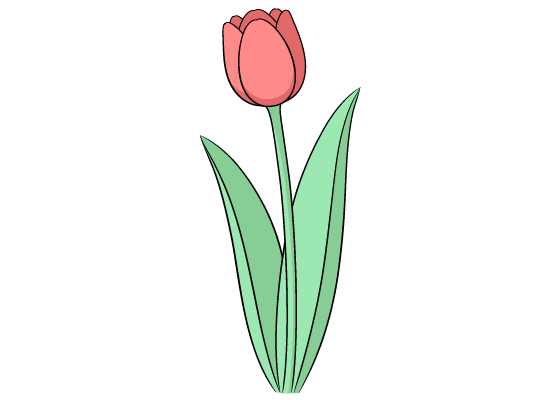 How to Draw a Tulip Step by Step - EasyLineDrawing