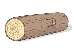 log drawing tutorial