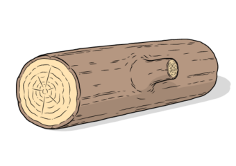 log drawing tutorial