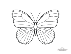 Line art preview of a simple butterfly coloring page printable