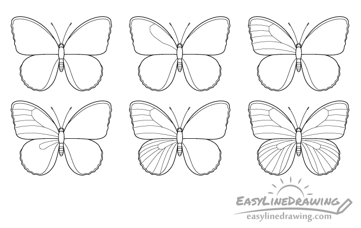 butterfly wing veins drawing step by step butterfly wing veins drawing step by step